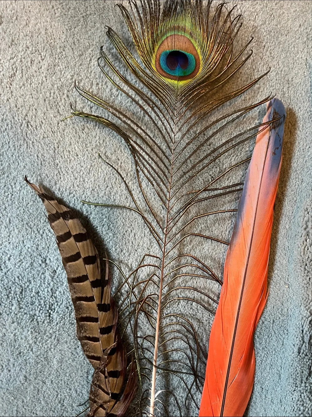 Feather Mardi Gras Mask Lot 3pc Masquerade Ball Colorful Peacock Plumes Set
